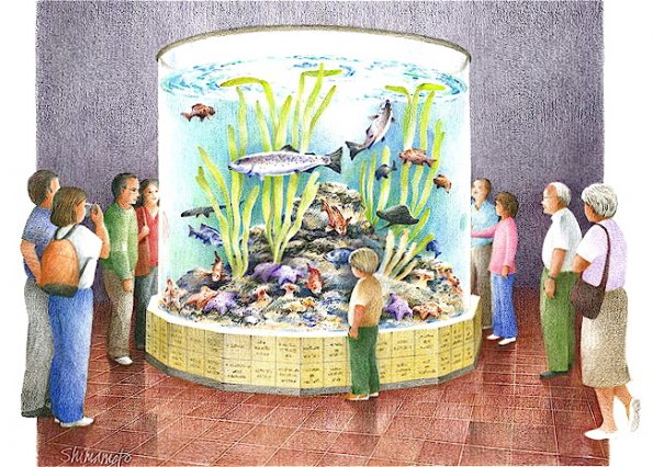 Aquarium